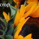 Illustration for article titled Sony QX100 Review: Glorious Photos, Painful Package